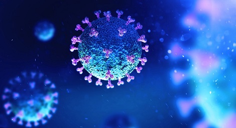 Graphic of a virus cell
